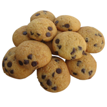Chocolate Chip 