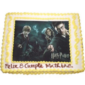 Harry Potter Picture