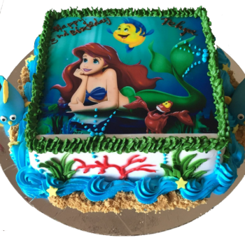 Ariel Picture